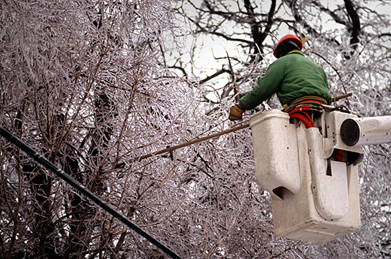 Ice on trees