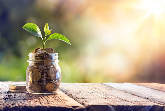 Plant growing in savings coins