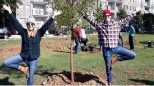 Trees Atlanta Volunteers
